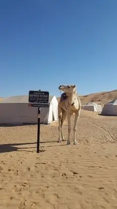 Camp Mars