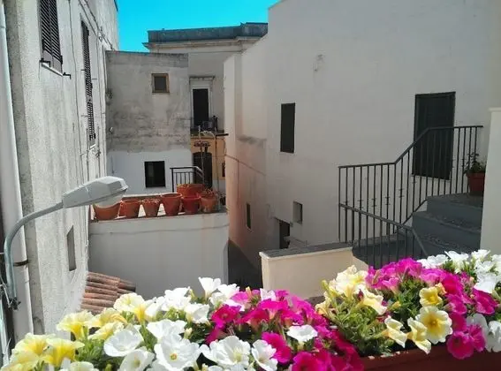 Campacavallo B&B