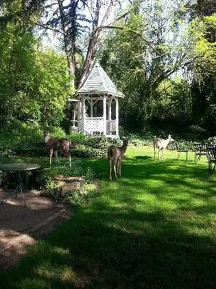 Campbell House Inn - Dış Mekan