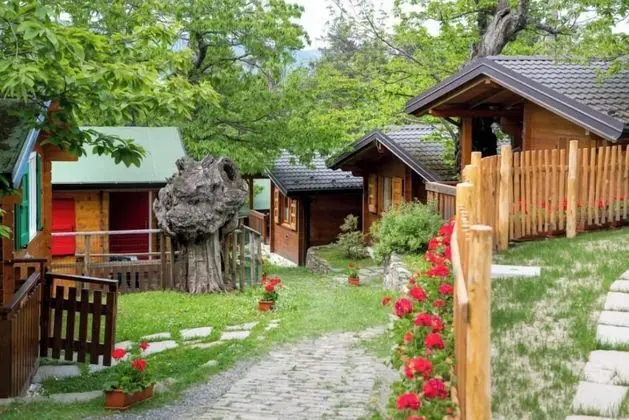 Campeggio Parco dei Castagni srl - Dış Mekan
