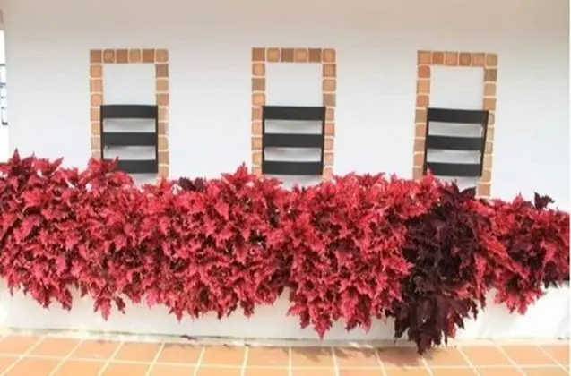 Hotel Campestre Duranta - Dış Mekan