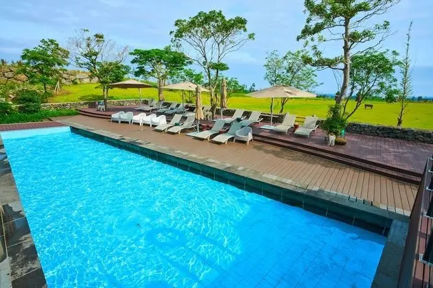 Camphortree Hotel & Resort - Havuz