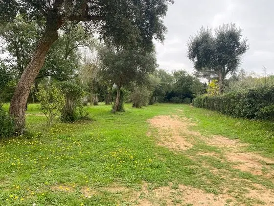 Camping 3 Estrellas Costa Brava - Dış Mekan