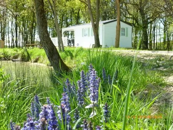 Camping Au Clos de Beaulieu - Dış Mekan
