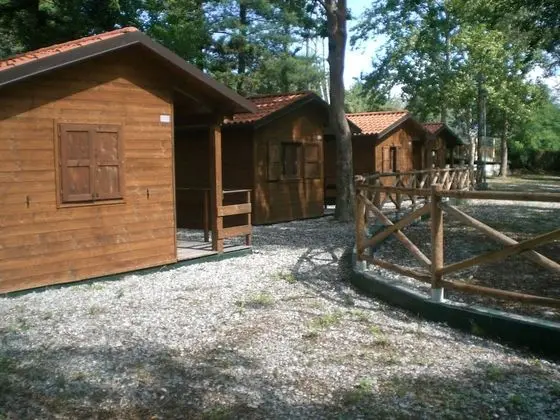 Camping Aviglianalacs