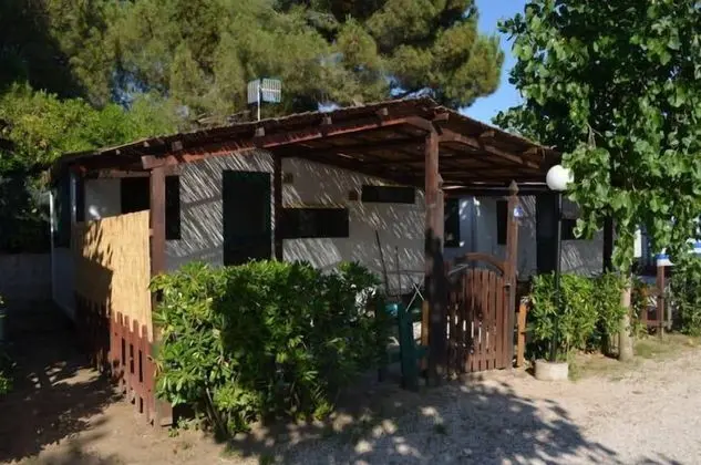 Camping Barchi