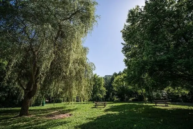 Camping de la Muse