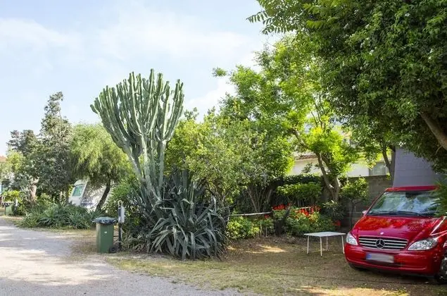 Camping Degli Ulivi - Dış Mekan