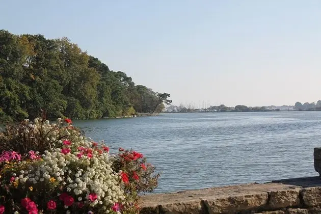 Camping du Manoir de Penn ar Ster - Plaj