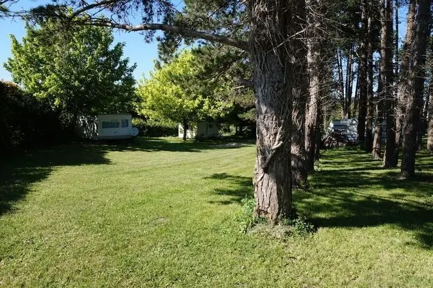 Camping du pas des biches - Dış Mekan