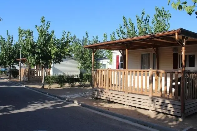 Camping Fayón Fishing