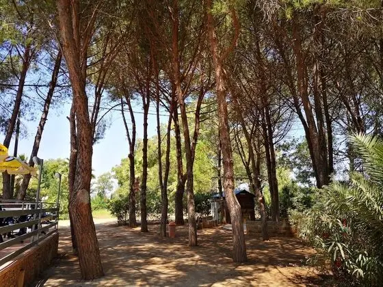 Camping Fico d'India - Dış Mekan