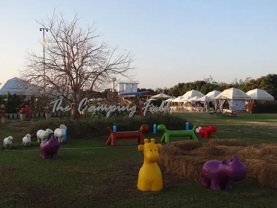 The Camping Field