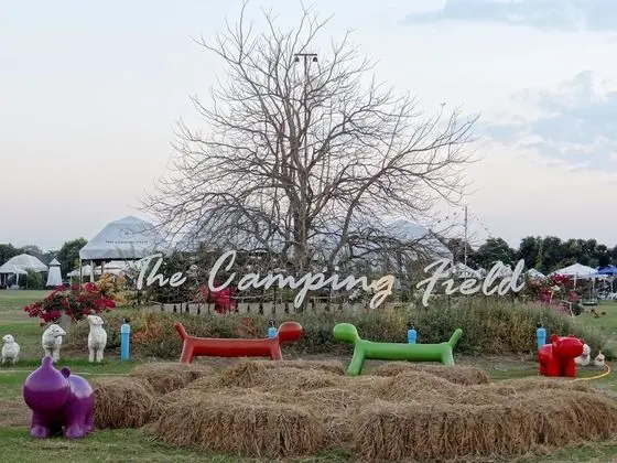 The Camping Field - Dış Mekan