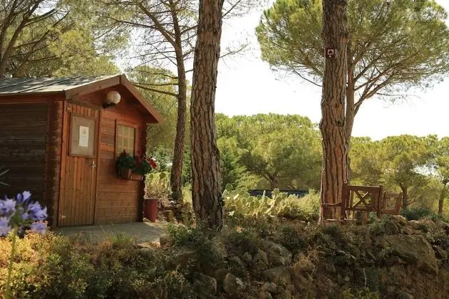 Camping Figurotta - Dış Mekan