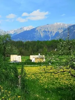 Camping Garden Park - Oda Manzaraları