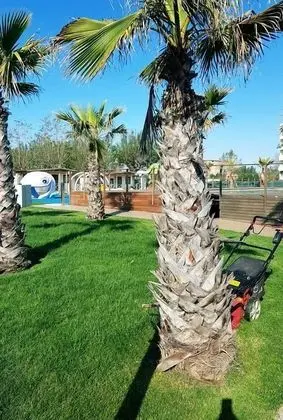 Camping Village Misano