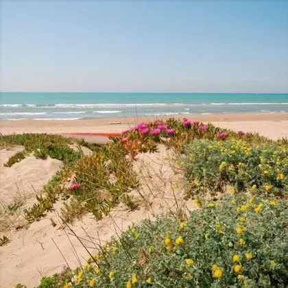 Camping Village Parco della Gallinara - Plaj