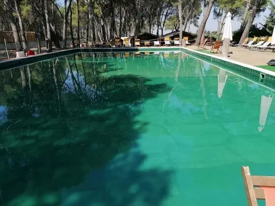 Camping Green Village Pin Tourist - Dış Mekan