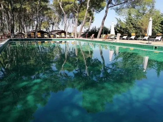 Camping Green Village Pin Tourist - Havuz
