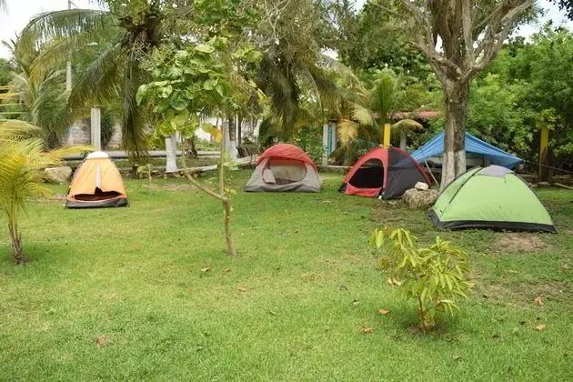 Camping Hostal El Árbol de la Vida