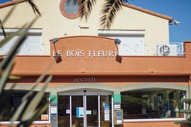 Camping Le Bois Fleuri - Lobi