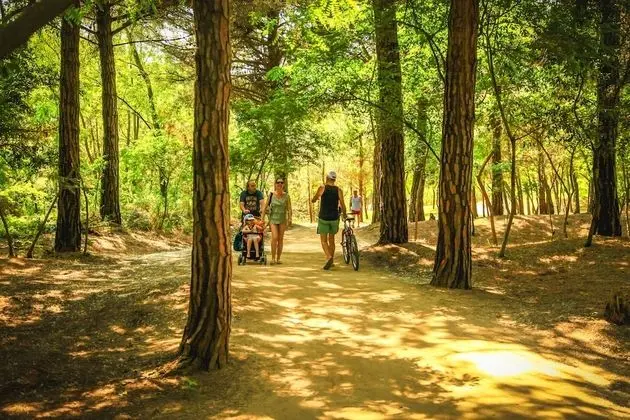 Camping Parco Capraro - Dış Mekan