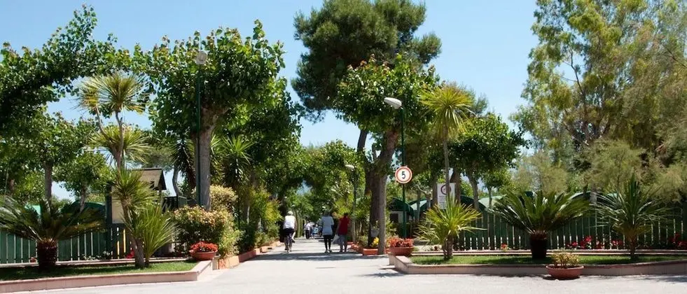 Camping Poseidonia