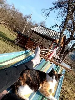 Camping Retreat in a Rural Way - Dış Mekan