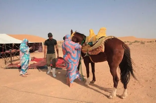 Camping Safari Laayoune - Dış Mekan