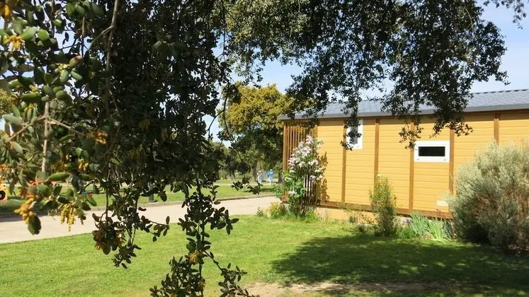 Camping Sierra de La Culebra - Öne Çıkan Resim