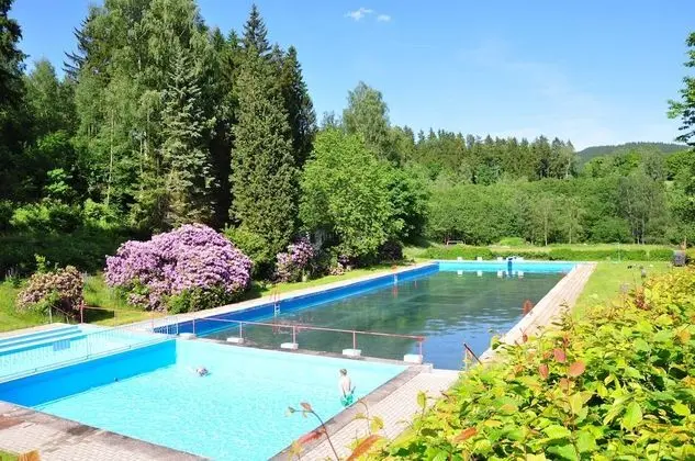 Campingplatz Am Waldbad - Havuz