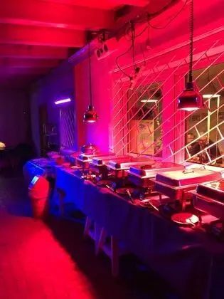 Campingplatz Bad Stuer - Yerinde Yemek