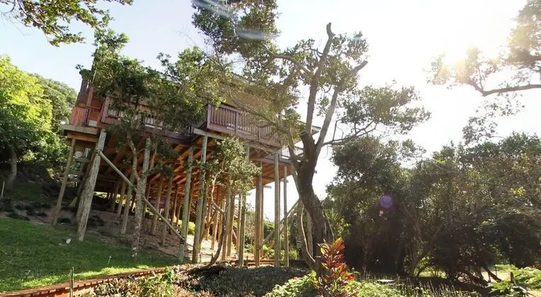 Campismo Ninho 39