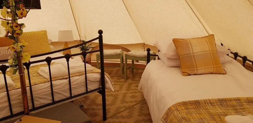 Campsite - The Ring Pub Glamping Pods - Oda