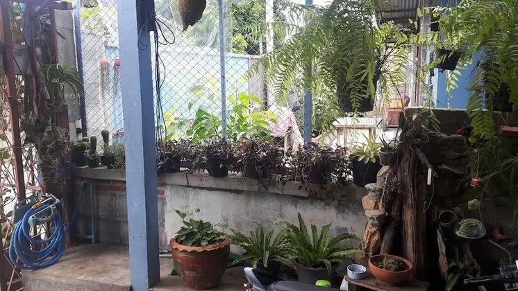 Canaan Guesthouse - Dış Mekan