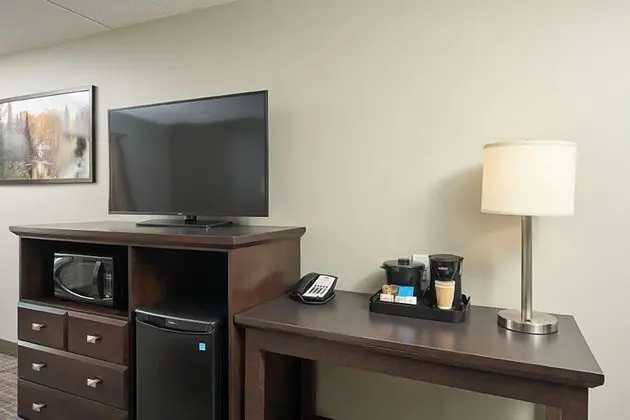 Canad Inns Destination Centre Club Regent Casino Hotel - Oda