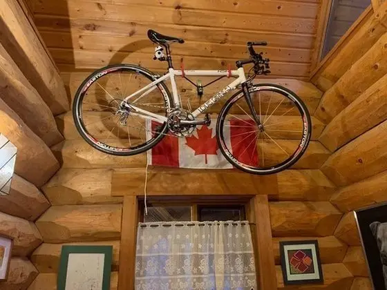 Canadian Loghouse Inn Azumino Yujin - Lobi