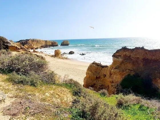 Canameira Beach