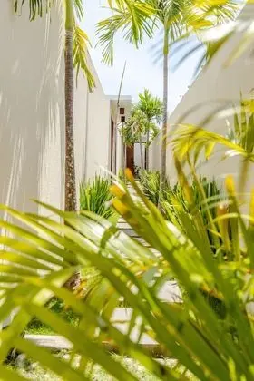 Canang Villas Bingin - Lobi