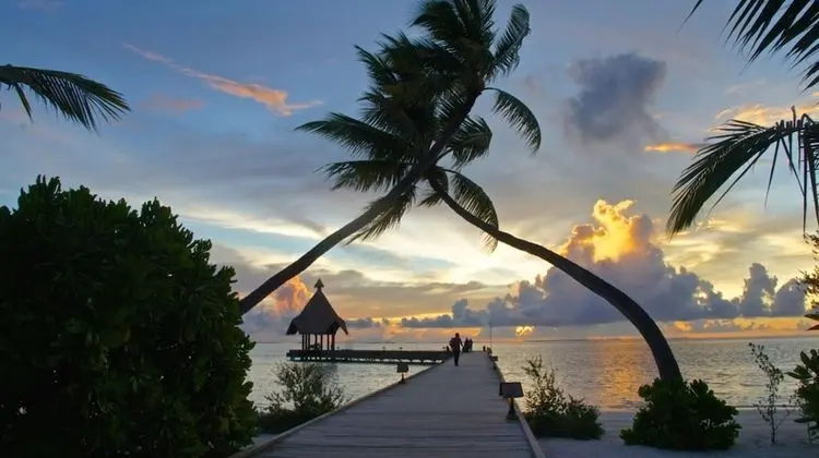 Canareef Resort Maldives - Dış Mekan