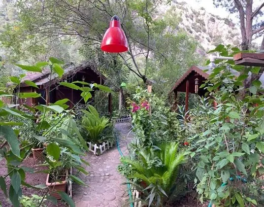 Canario Pension