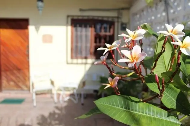 Cancun Guest House 3 Near Ado bus Terminal and 25 min Fromto Airport by Shuttle - Dış Mekan