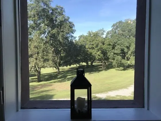 Canemount Plantation Inn - Oda Manzaraları
