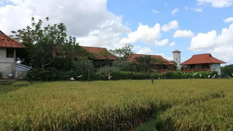 Canggu Suites - Dış Mekan
