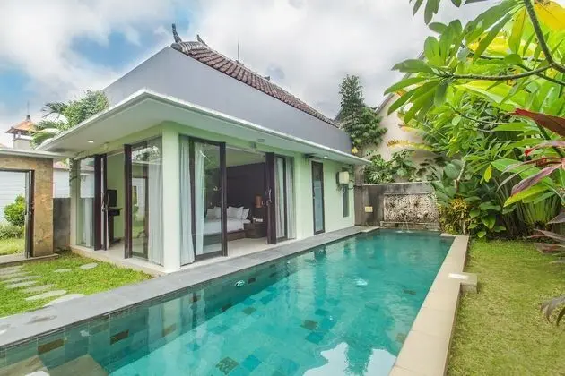 Canikaya Villas Ubud - Havuz