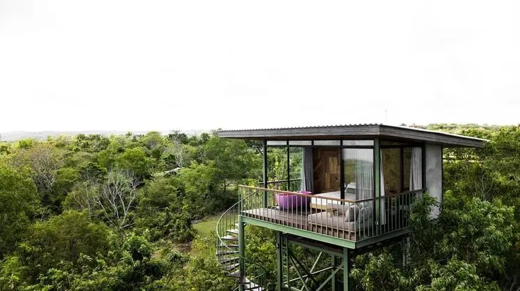 The Canopy