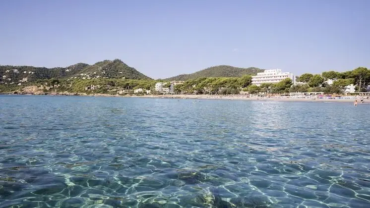 Canyamel Park Hotel & Spa - Adults Only - Plaj