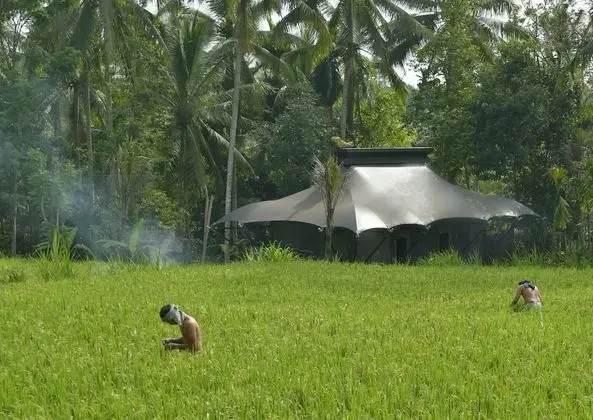 Capella Ubud, Bali - CHSE Certified - Dış Mekan