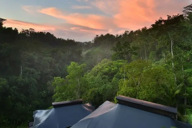 Capella Ubud, Bali - CHSE Certified - Spa